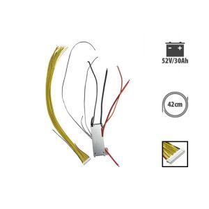 Bms Dualtron Mini 52V 30A V2 (Aminia Special, Mini Long Body Single moteur) pour trottinette électrique