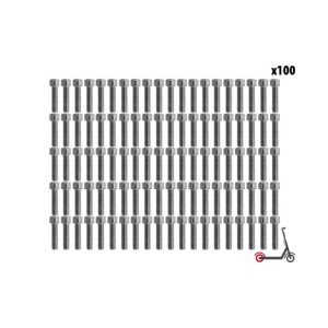Vis BTR roue Ar Dualtron Mini (x100 pcs) pour trottinette électrique