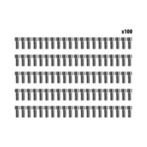 Vis gardes boue Dualtron x100 pcs pour trottinette électrique